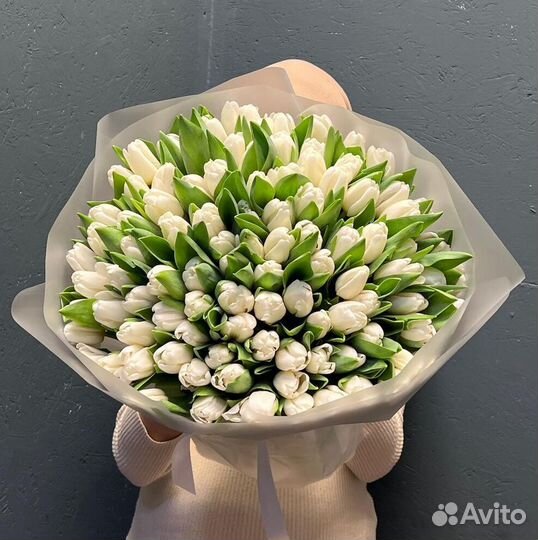 Тюльпаны на 8 марта