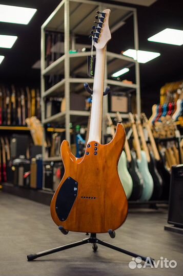 Schecter C-6 PRO ARB