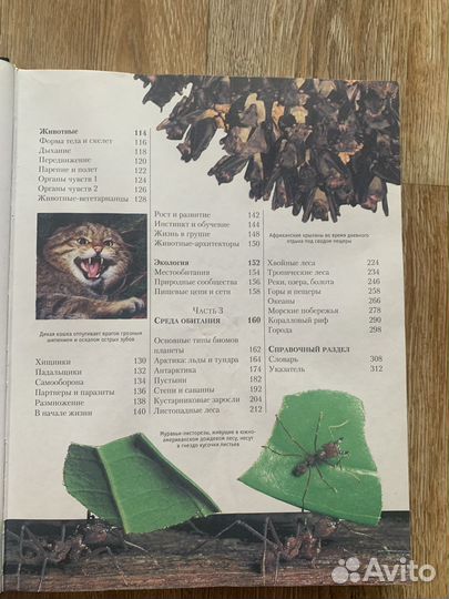 Иллюстрированная энциклопедия