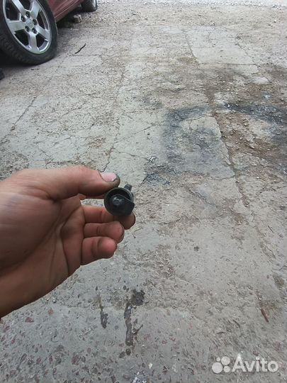 Личинка с ключом