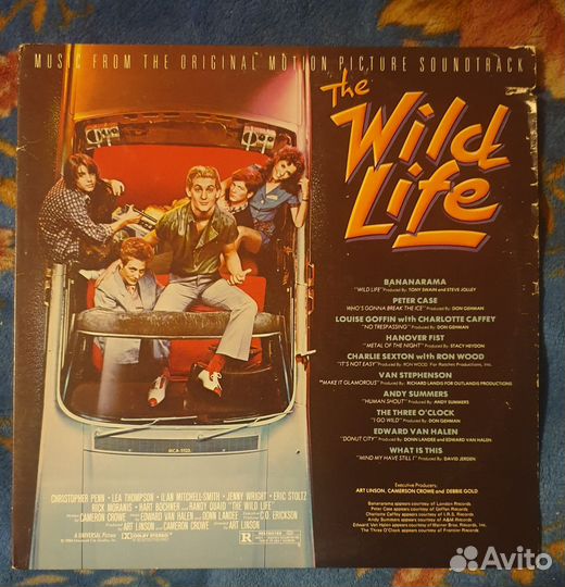 Виниловые пластинки The wild life its casual