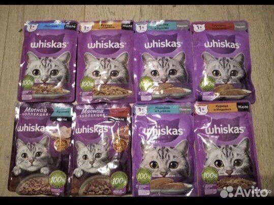 Влажный и сухой корм для кошек