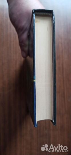 Катализ. Ант Скаландис