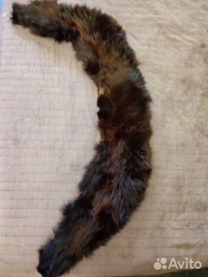 Мех норки (шкурки)