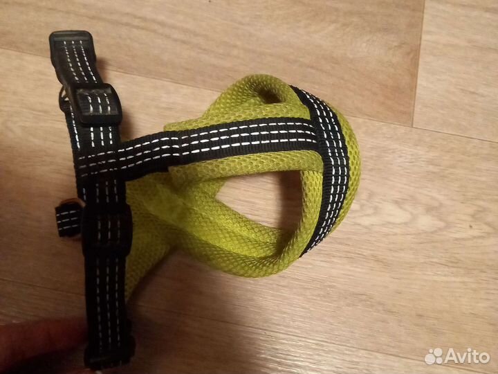 Шлейка для собак