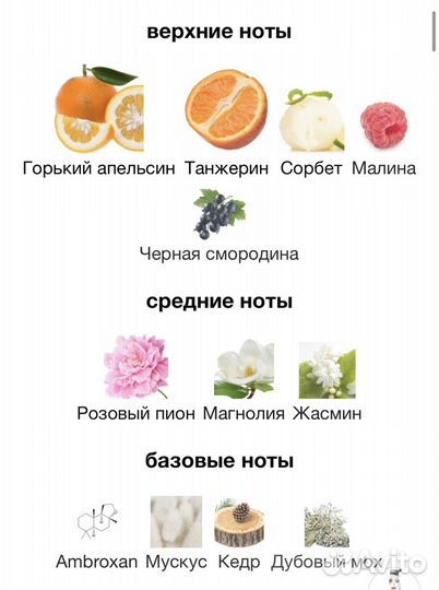 Moschino So Real Cheap and Chic