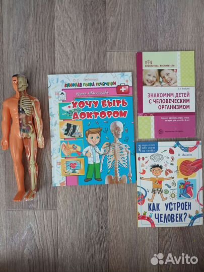 Анатомическая модель, детские книги об анатомии