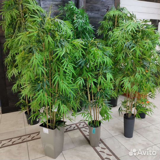 Бамбук искусственный натуральный стволе