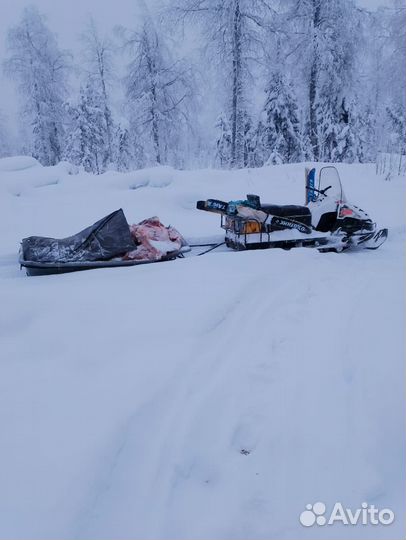 Буран Кохлер