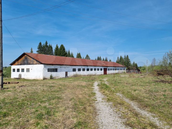 Продам помещение свободного назначения, 1287.5 м²