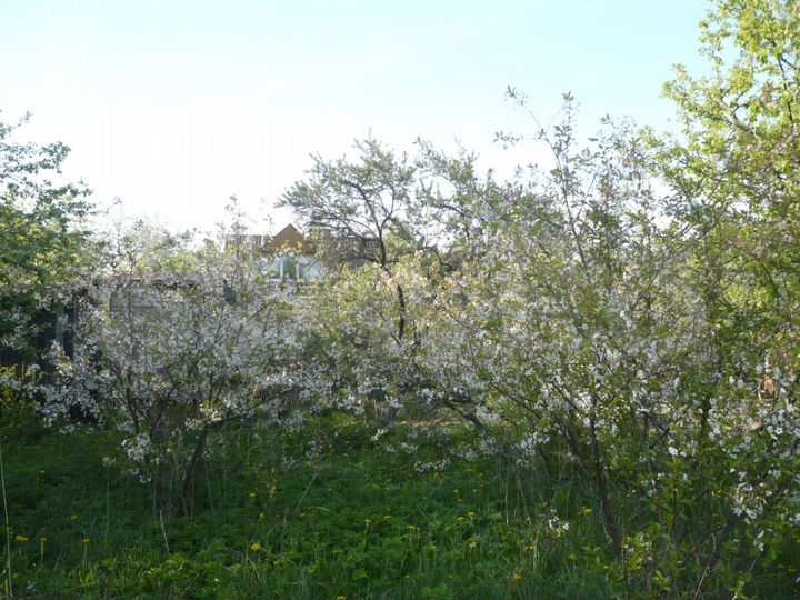 Дача 30 м² на участке 6 сот.