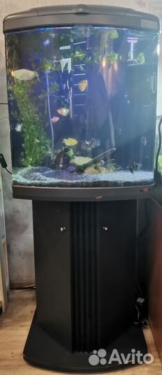 Аквариум с тумбой 130 литров