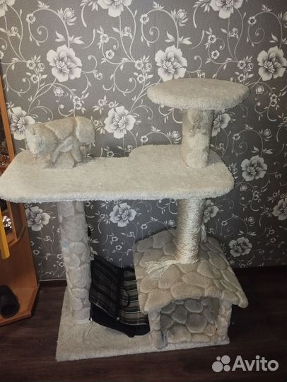 Когтеточка домик для кошки бу