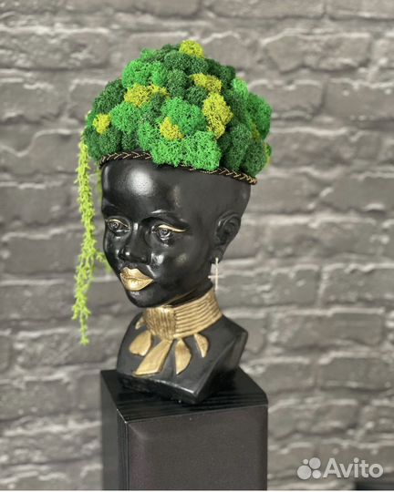 Стабилизированный мох в кашпо