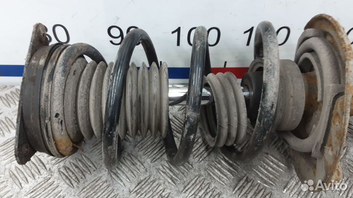 Стойка передняя левая nissan qashqai J11 3-9 дней