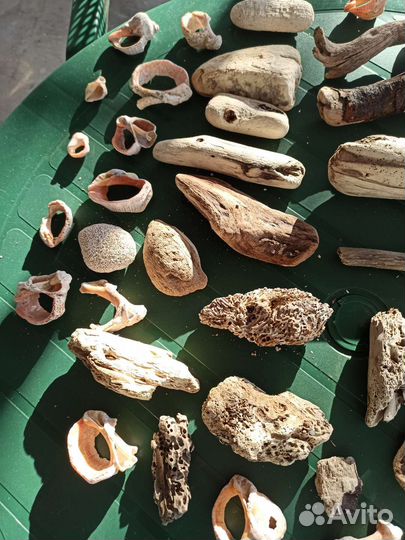 Морские коряги, ракушки, дрифтвуд для ключницы