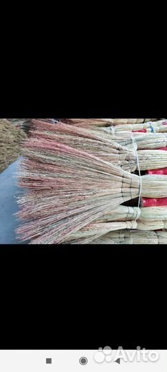 Веники сорго