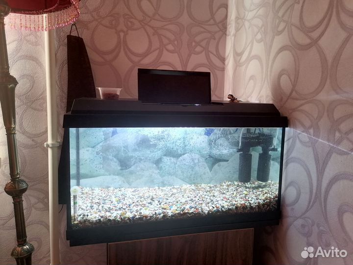 Аквариум на 40 литров