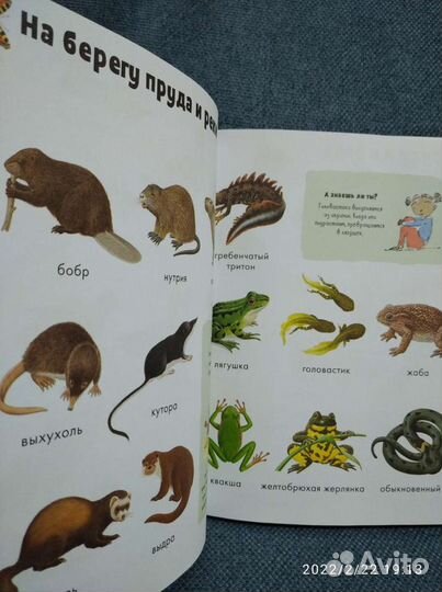 Детская энциклопедия малыша новая