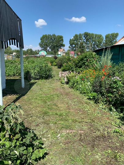 Участок 6 сот. (СНТ, ДНП)