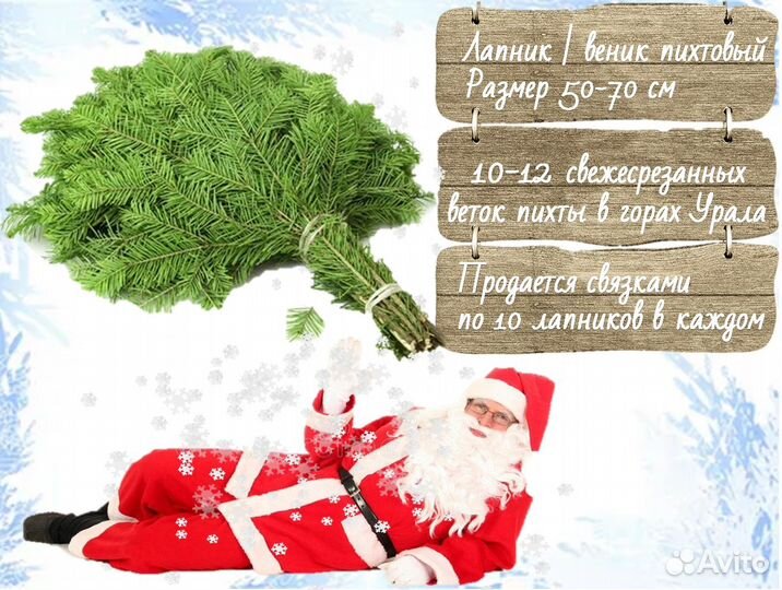 Живые елки оптом Ели оптом