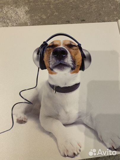 Картины постеры