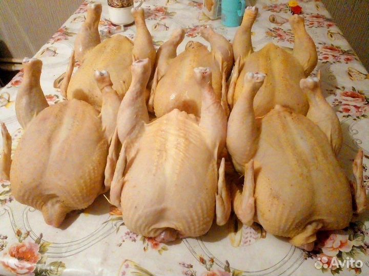 Мясо домашнего бройлера