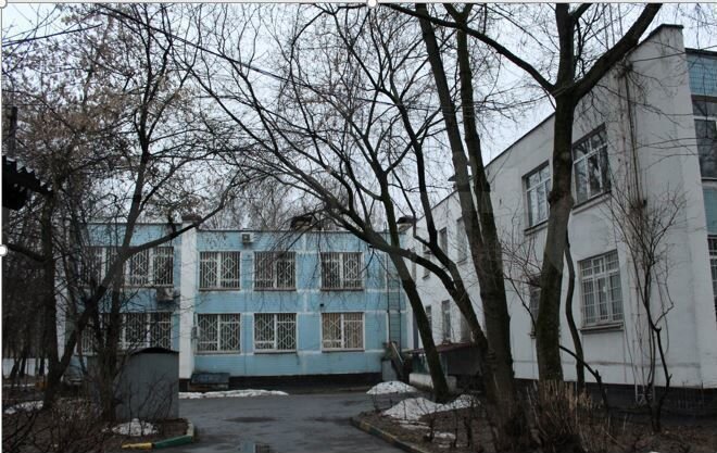 Детский сад «Колосок»