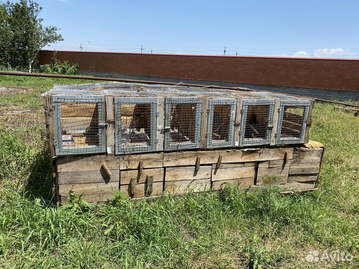 Клетка для кроликов