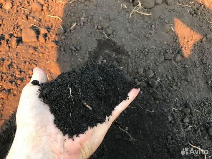 Чернозем без посредников
