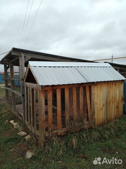 Вольер для собак бу уличный