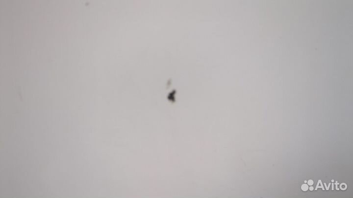 Капот Nissan Juke, 2011