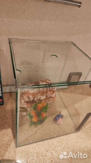 Готовый Аквариум 20литров, есть ещё корм