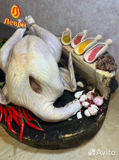 Мясо птицы. Индейка