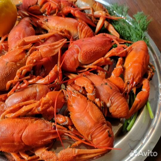 Раки варёные с доставкой на дом. Челябинск