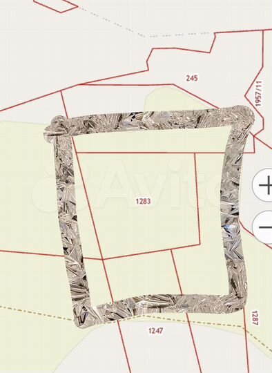 Участок 100 сот. (СНТ, ДНП)