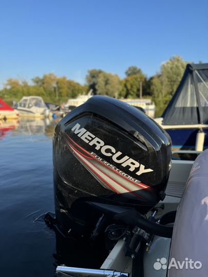 Беркут M - HT с Mercury F 80 elpt + Прицеп