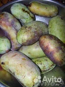 Семена азимины