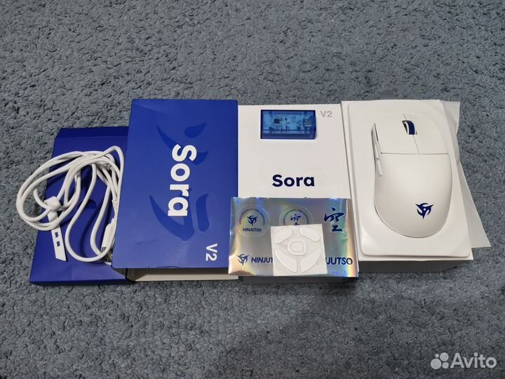 Ninjutso sora v2