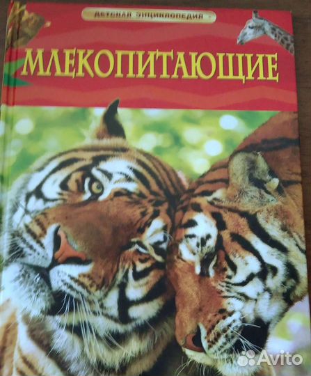 Детские энциклопедии