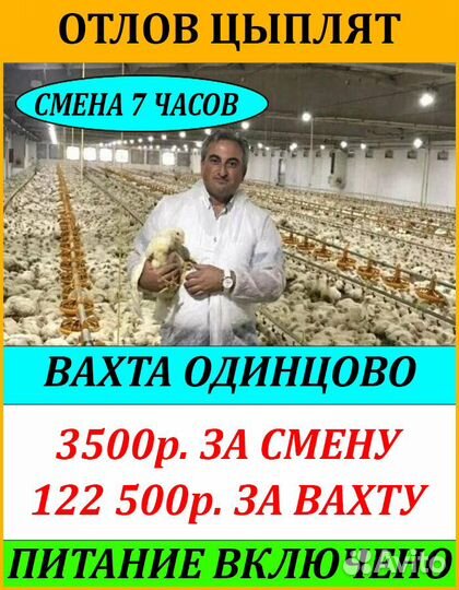 Отловщик цыплят/Вахта в мо, питание, суперхостел