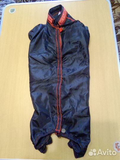 Комбинезон на таксу