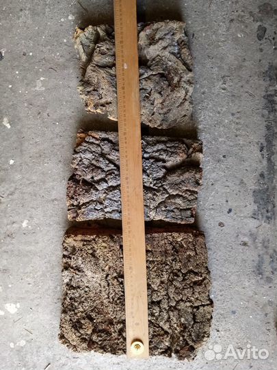 Кора пробкового дуба