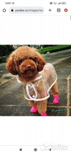 Сапожки для собак Triol