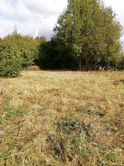 Участок 6 сот. (СНТ, ДНП)