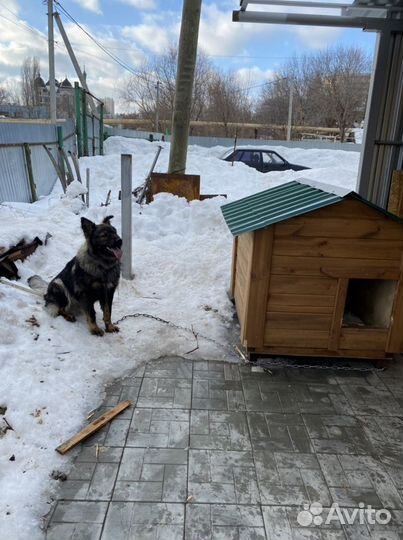 Будка для собаки утепленная