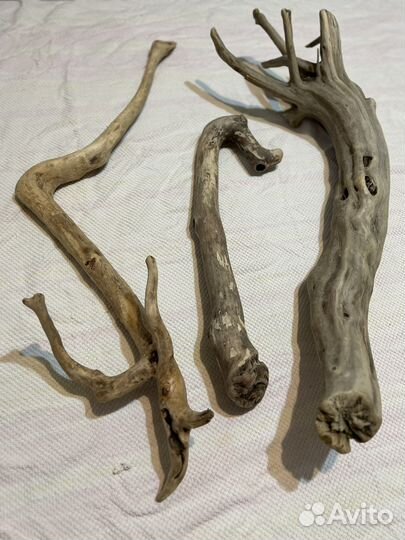 Топляк дрифтвуд сочинский