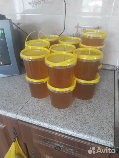 Продам пчелосемьи