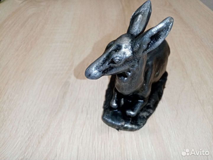 Олень, лань