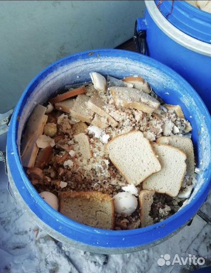 Пищевые отходы